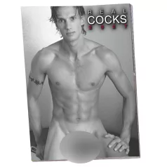 Real Cocks 2027 - erotisk väggkalender (10 st)