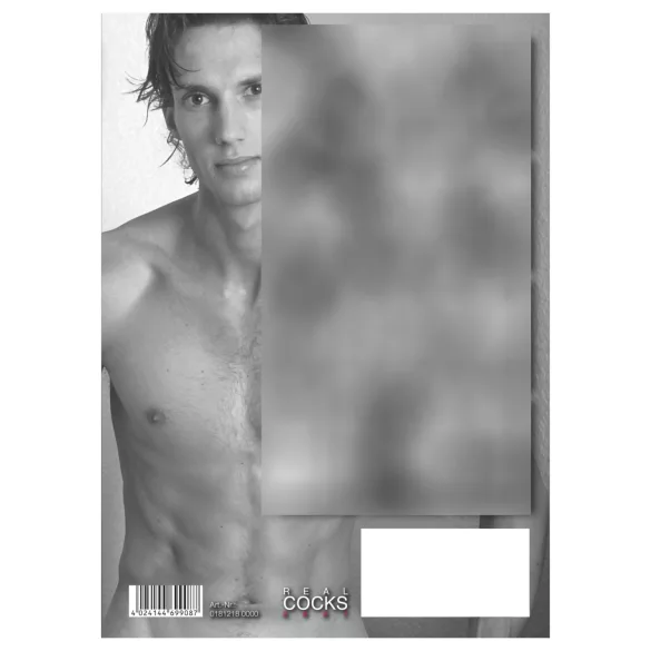Real Cocks 2027 - erotisk väggkalender (1 st)