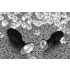 You2Toys - analplugg med diamant - silikon - liten