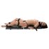 You2Toys - Bondage Board - portabelt bondage-set (13 delar)
