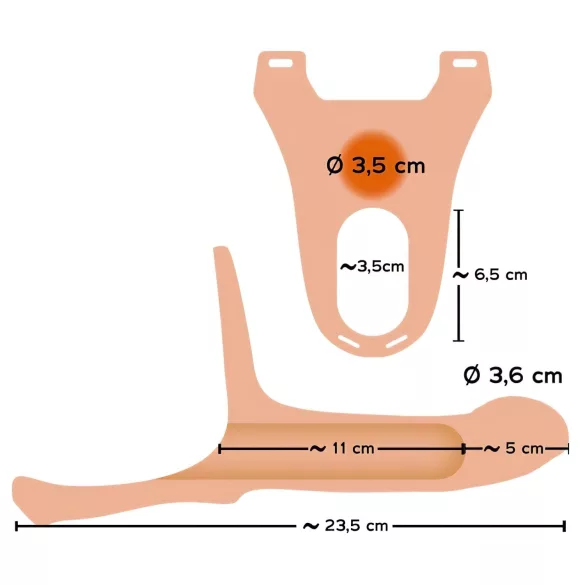You2Toys - strap-on dildo med hålrum - medium - naturfärg