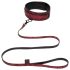 Femtio nyanser av grått - halsband & koppel (svart-röd)
