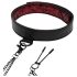 Femtio nyanser av grått - halsband och bröstklämmor (svart-röd)