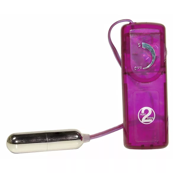 You2Toys - vibrator set - 12 delar sexleksaker