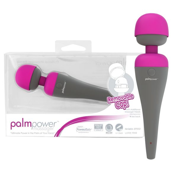 PalmPower massager med utbytbara huvuden