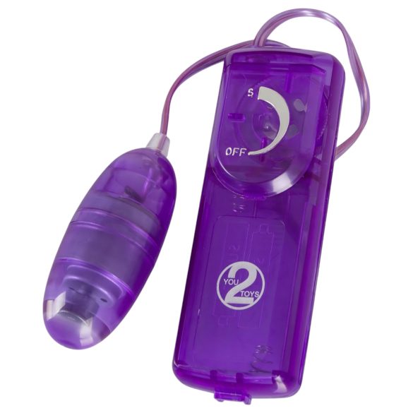 You2Toys - vibrator kit - 9 delar - lila