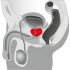 You2Toys - Prostatamassagemaskin - roterande prostatavibrator (svart)