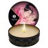 Shunga - Massageljus - Ros (30 ml)