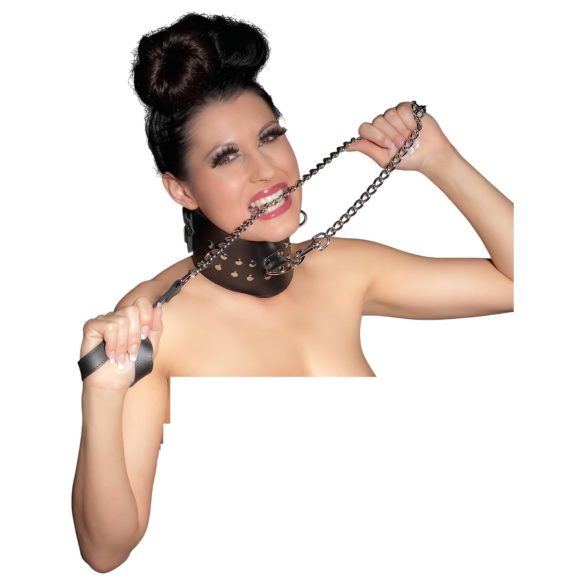 ZADO - hundkoppel metall silver