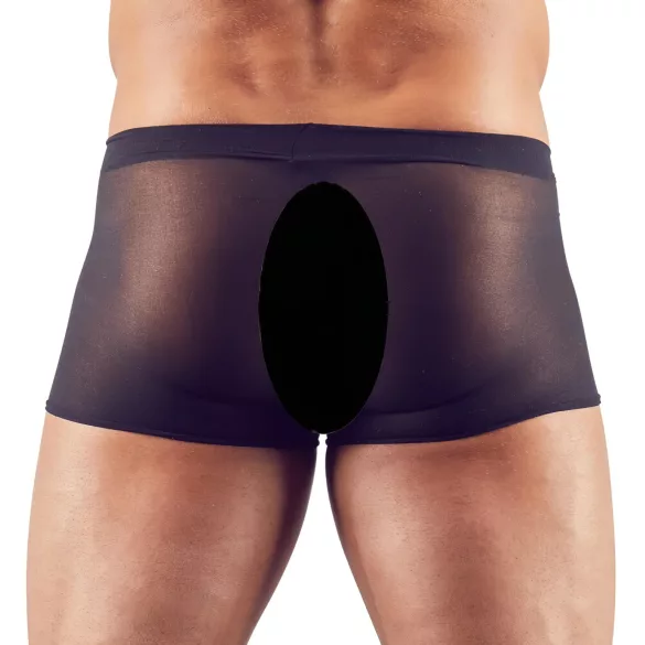 Svenjoyment - 2-delat svart genomskinligt boxerset (S-L)