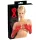 LATEX - långa unisex handskar - röd latex - L