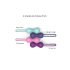 Love to Love Joia - silikonpärlor duo (mint)