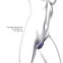 Love to Love Wonderlover - Lila G-punkt & klitorisvibrator
