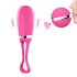 Dorcel Secret Delight - trådlöst vibroägg (rosa)