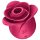 Satisfyer Pro 2 Rose - Luftvågs-stimulator (röd)