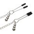 Fifty Shades of Grey - Bröstklämmor med halsband (silver)