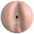 Fleshlight Boost Blast - naturtrogen, verklighetstro analmasturbator