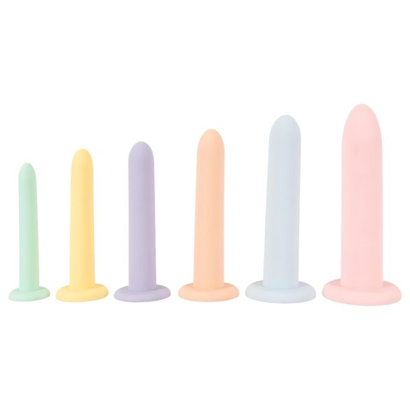 Sexig Förvandling - Dildo Träningsset - 6 Delar (Färggrann)
