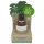 Coconutoil - Aftershaveolja för hårborttagning - Ekologisk - 50ml