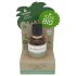 Coconutoil - Eko Rakolja & Efterrakningsolja (50ml)