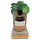 Coconutoil - Ekologisk Bronsolja (80ml)