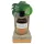Coconutoil - bruningsolja för kropp - ekologisk - 80ml