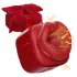 SEX HD Lovely Kiss - slick- och sugvibrator (röd)