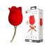 Pretty Love Rose - 2in1 Klitorisvibrator (röd)