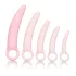 CalExotics Inspire - vaginalt dilatorset - medicinskt silikon - rosa