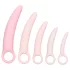 CalExotics Inspire - vaginalt dilatorset - medicinskt silikon - rosa