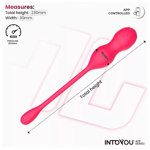 INTOYOU - Kegelkulor vibrator duo - Smart fjärrkontroll - Rosa