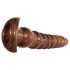 Evolved Twisted Love - Anal Dildo Set (I Trälook)