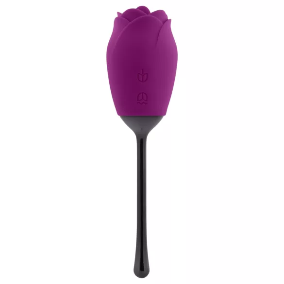 Playboy - tunganvibrator - uppladdningsbar och vattentät - lila