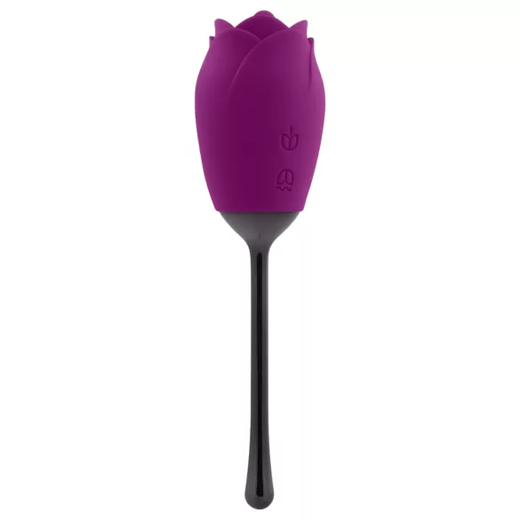 Playboy - tunganvibrator - uppladdningsbar och vattentät - lila