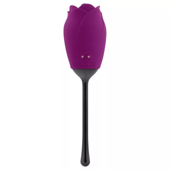 Playboy - tunganvibrator - uppladdningsbar och vattentät - lila