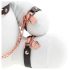 Bondagekanin - BDSM vit (kanin)