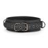 Easytoys - Fetisch Halsband och Koppel (Svart)