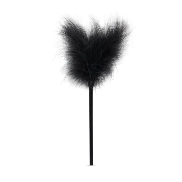 Secret Pleasure Chest - BDSM kit för avancerade - 14 delar - svart