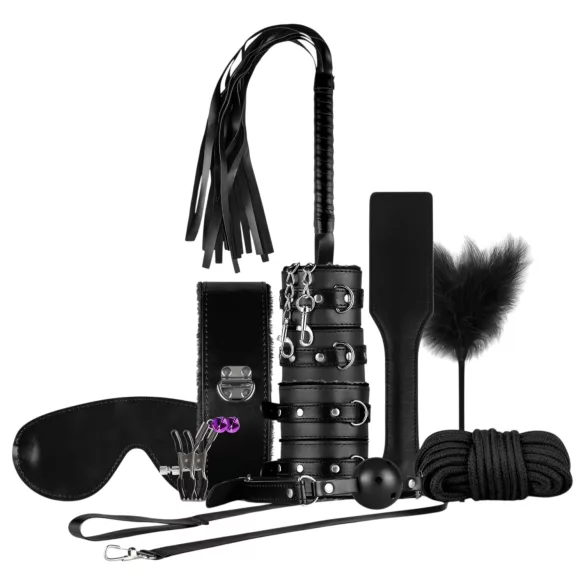 Secret Pleasure Chest - avancerad BDSM‑sats - 14‑delars (svart)