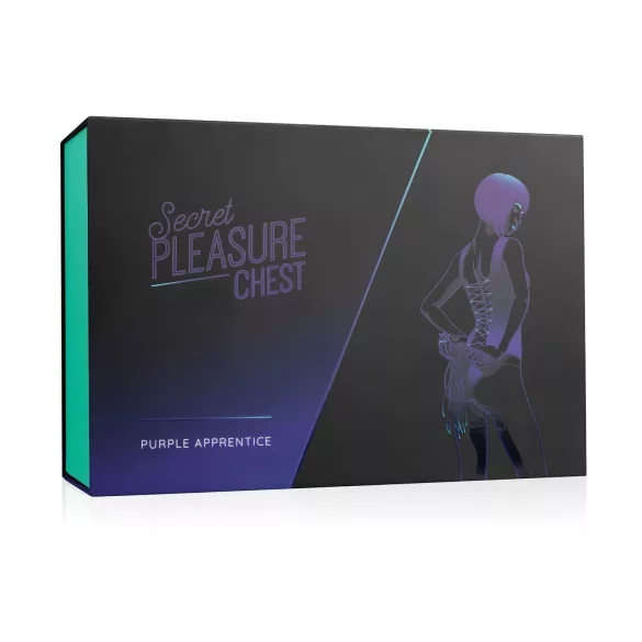 Secret Pleasure Chest - avancerat BDSM-kit (14-delars)