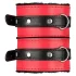 Secret Pleasure Chest - avancerat BDSM‑set - 10 delar (röd)