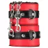Secret Pleasure Chest - avancerat BDSM‑set - 10 delar (röd)