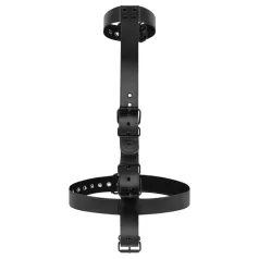   Bedroom Fantasies - BDSM bindset med halsband och bojor - svart